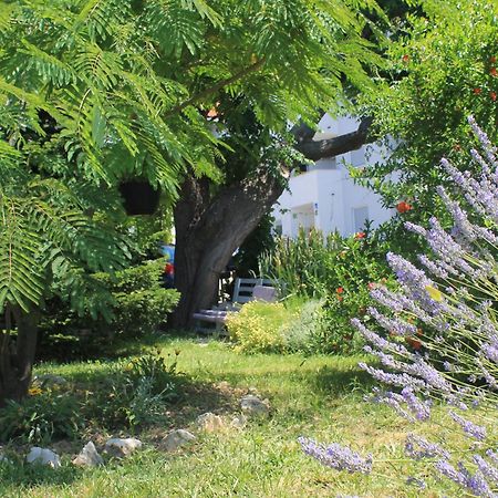 Apartments 501 - Rab Island Oasis Retreat Supetarska Draga Bagian luar foto