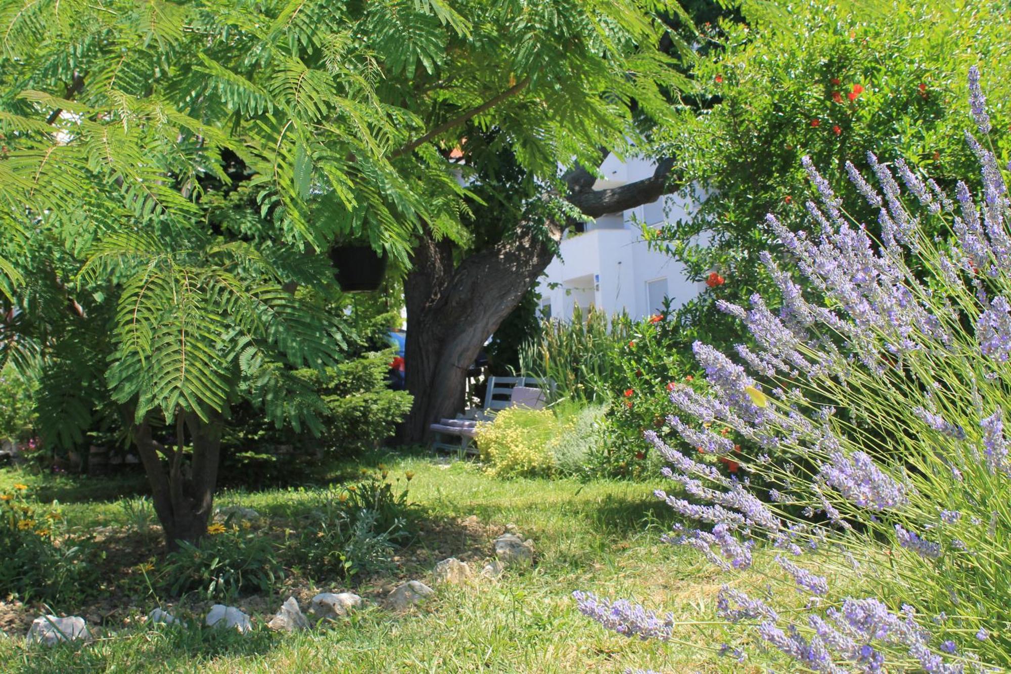 Apartments 501 - Rab Island Oasis Retreat Supetarska Draga Bagian luar foto