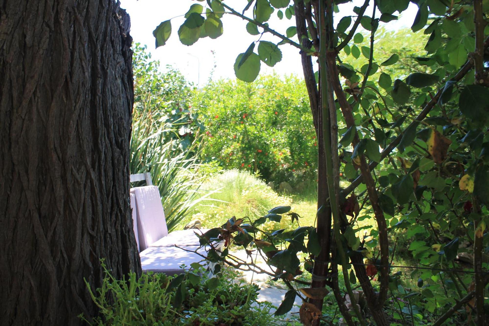 Apartments 501 - Rab Island Oasis Retreat Supetarska Draga Bagian luar foto
