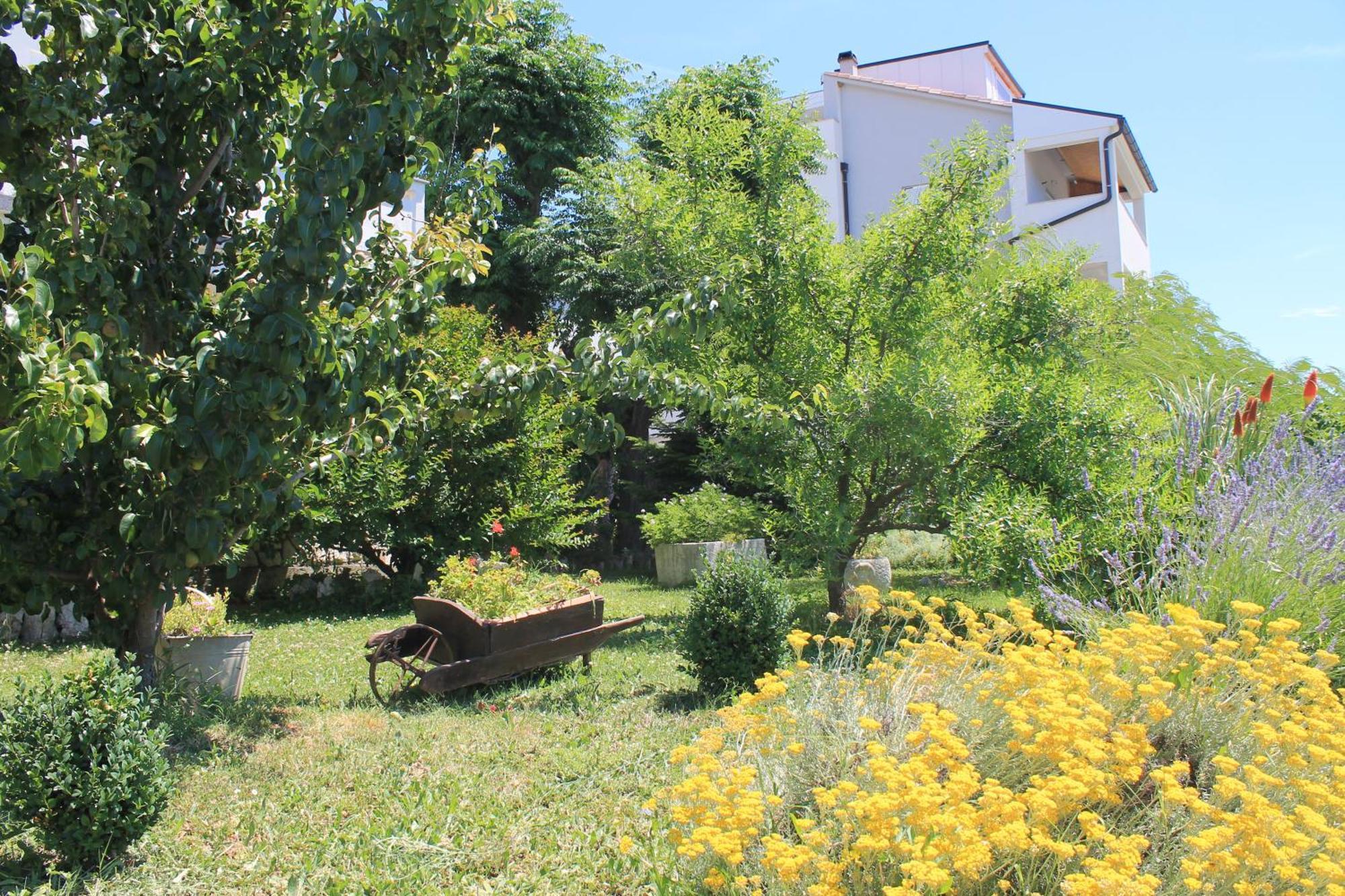 Apartments 501 - Rab Island Oasis Retreat Supetarska Draga Bagian luar foto