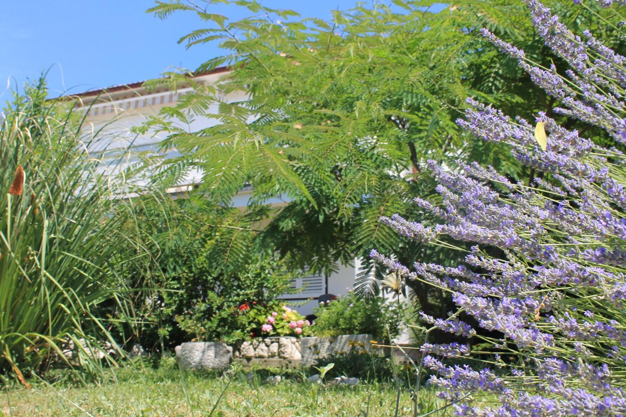 Apartments 501 - Rab Island Oasis Retreat Supetarska Draga Bagian luar foto