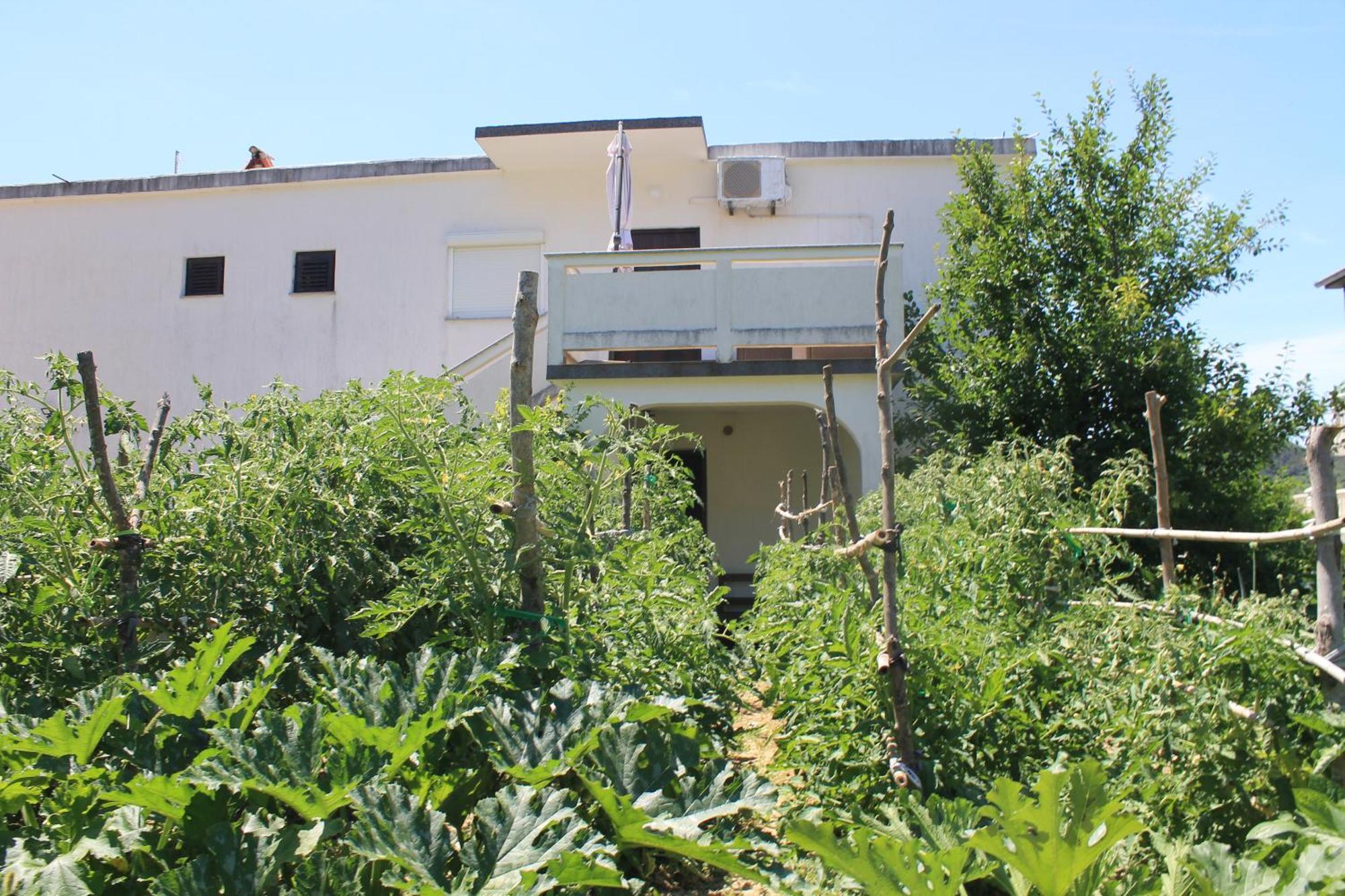 Apartments 501 - Rab Island Oasis Retreat Supetarska Draga Bagian luar foto