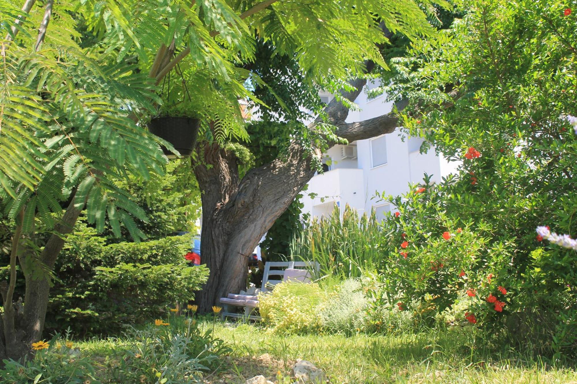 Apartments 501 - Rab Island Oasis Retreat Supetarska Draga Bagian luar foto