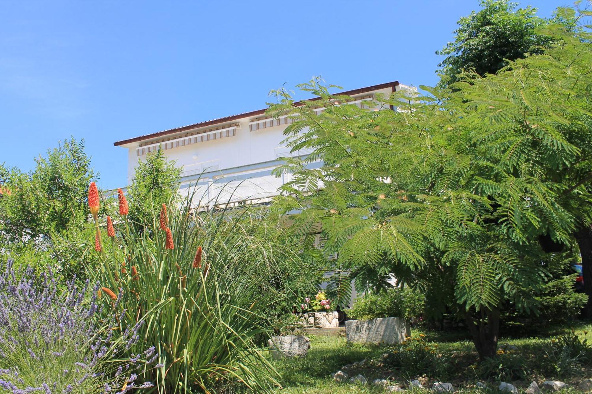 Apartments 501 - Rab Island Oasis Retreat Supetarska Draga Bagian luar foto
