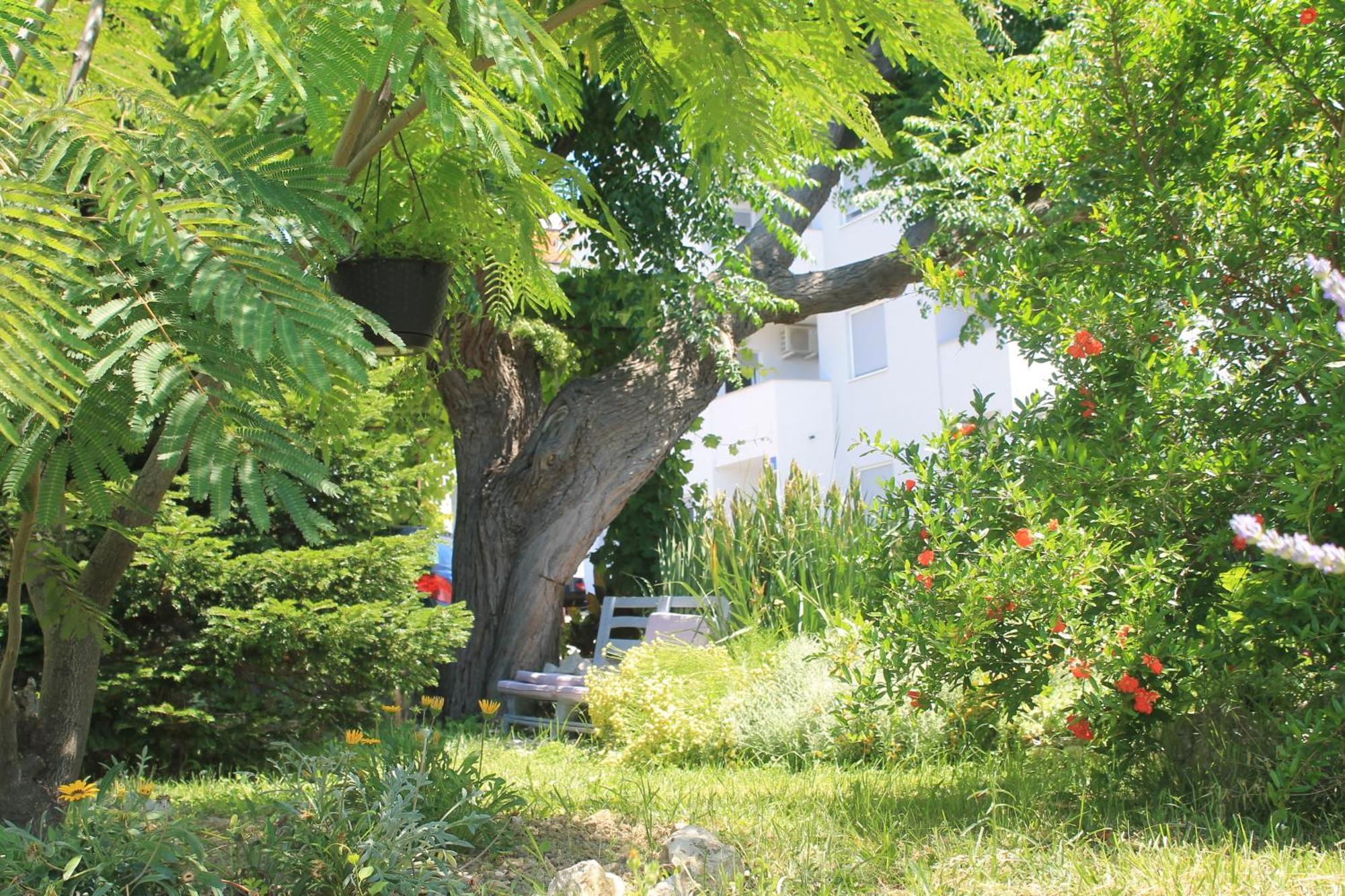 Apartments 501 - Rab Island Oasis Retreat Supetarska Draga Bagian luar foto