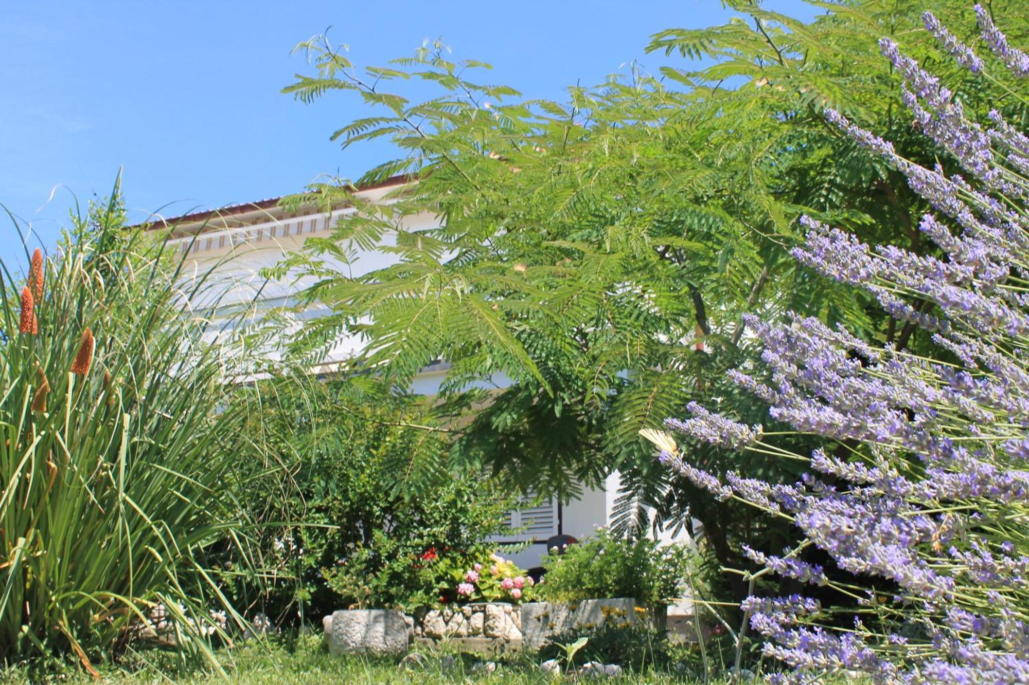 Apartments 501 - Rab Island Oasis Retreat Supetarska Draga Bagian luar foto