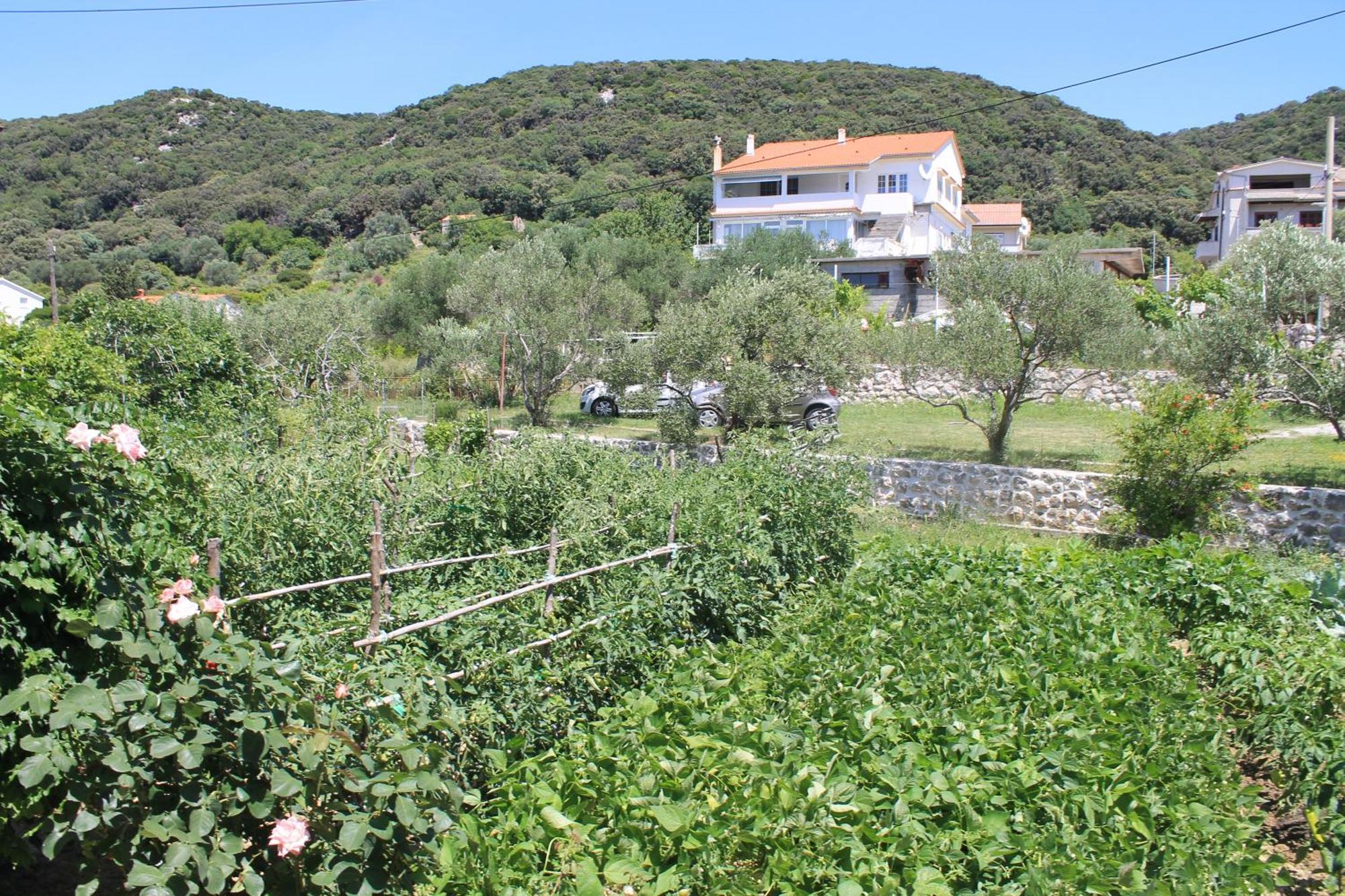 Apartments 501 - Rab Island Oasis Retreat Supetarska Draga Bagian luar foto
