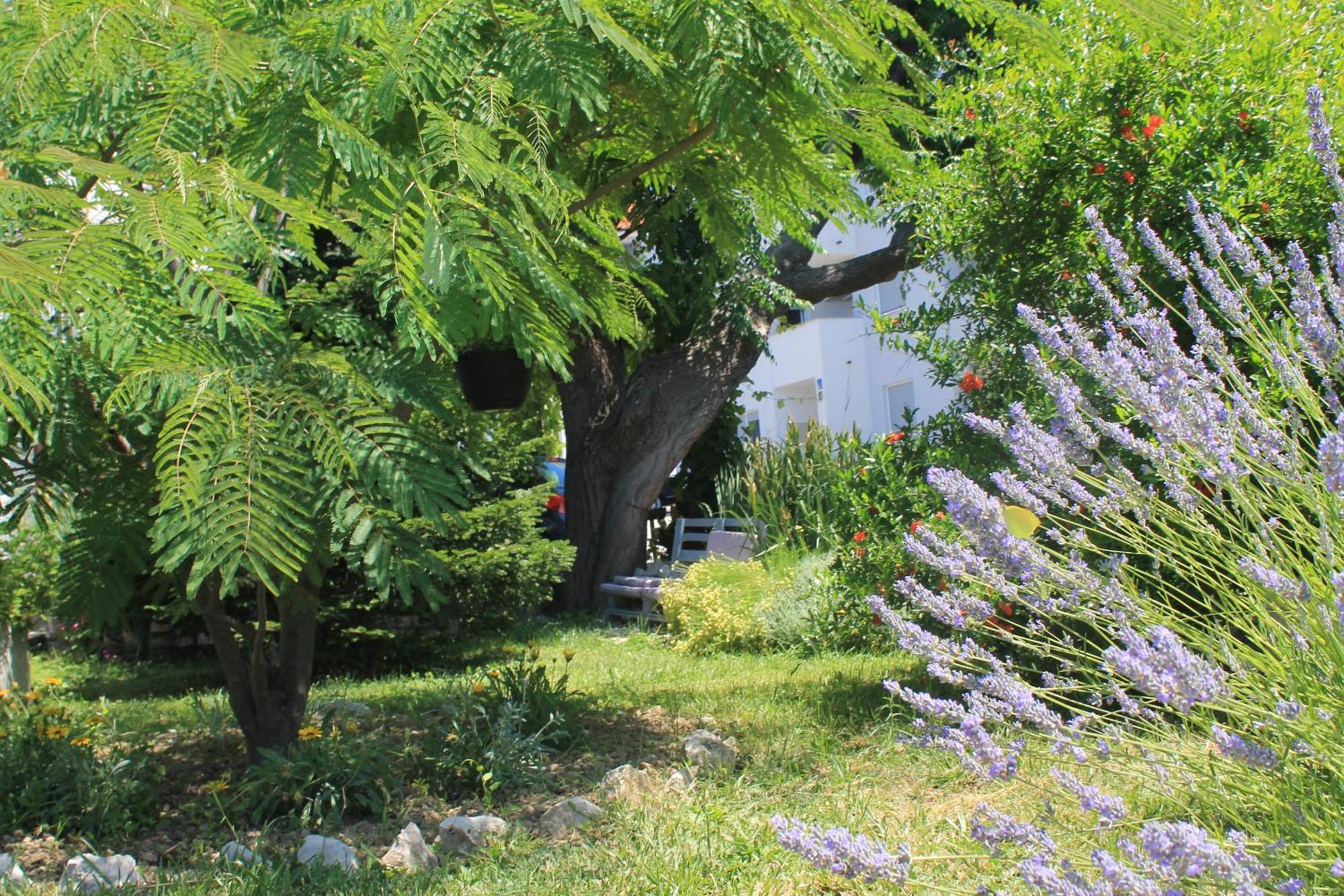 Apartments 501 - Rab Island Oasis Retreat Supetarska Draga Bagian luar foto