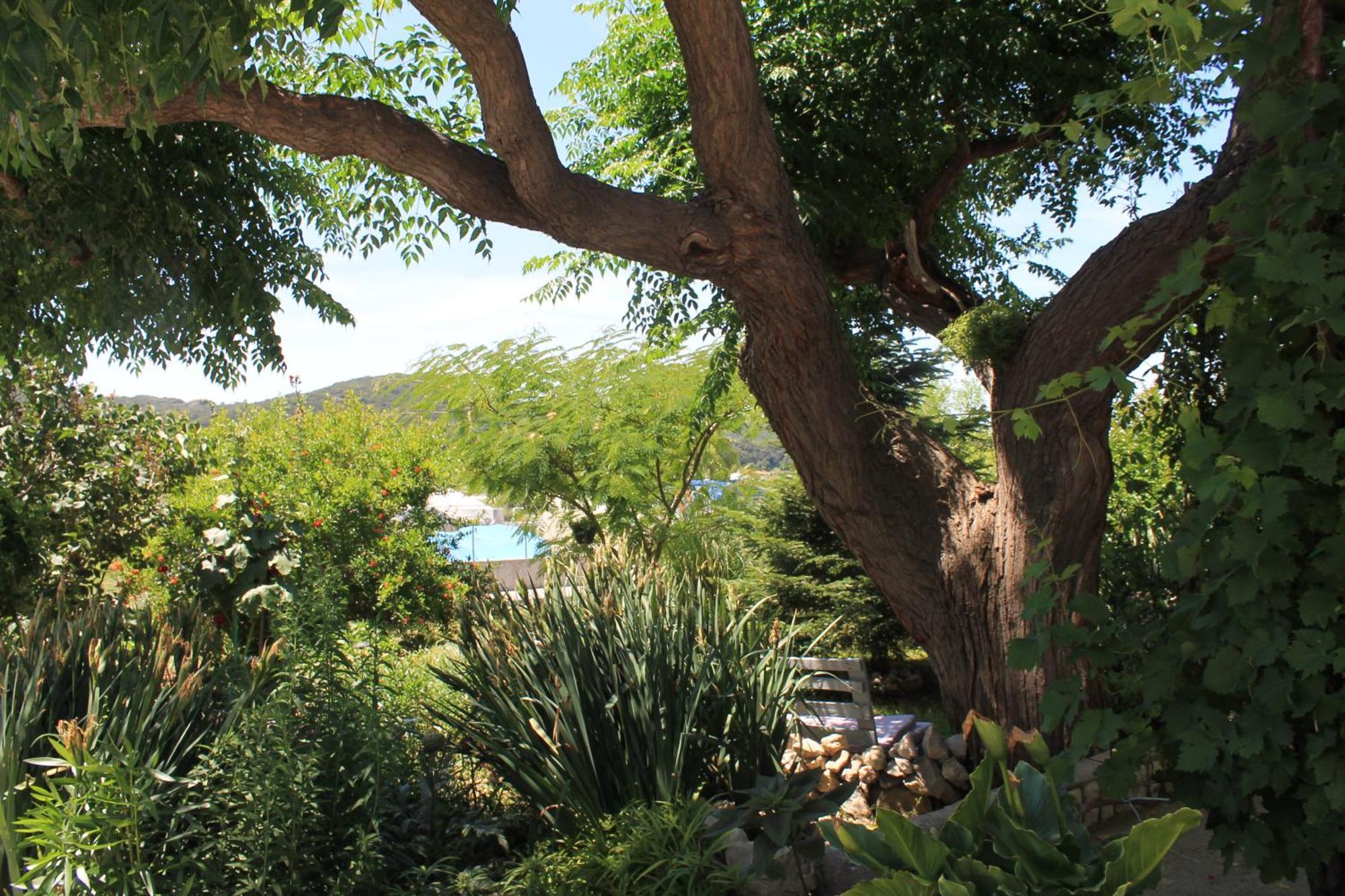 Apartments 501 - Rab Island Oasis Retreat Supetarska Draga Bagian luar foto