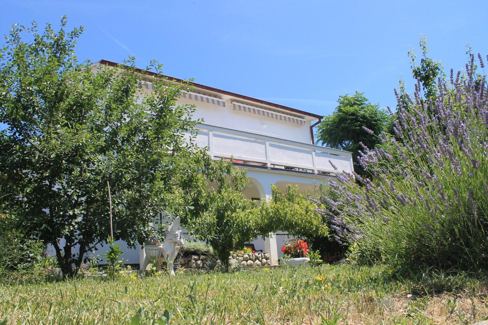 Apartments 501 - Rab Island Oasis Retreat Supetarska Draga Bagian luar foto