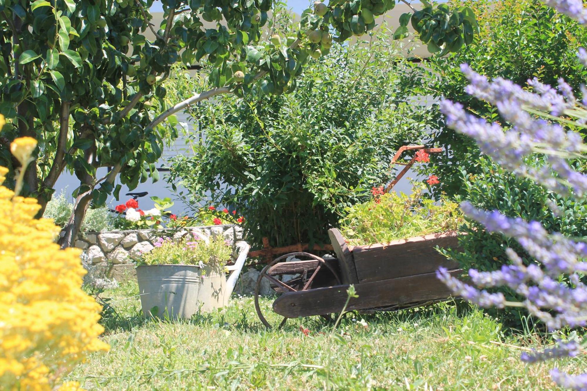 Apartments 501 - Rab Island Oasis Retreat Supetarska Draga Bagian luar foto