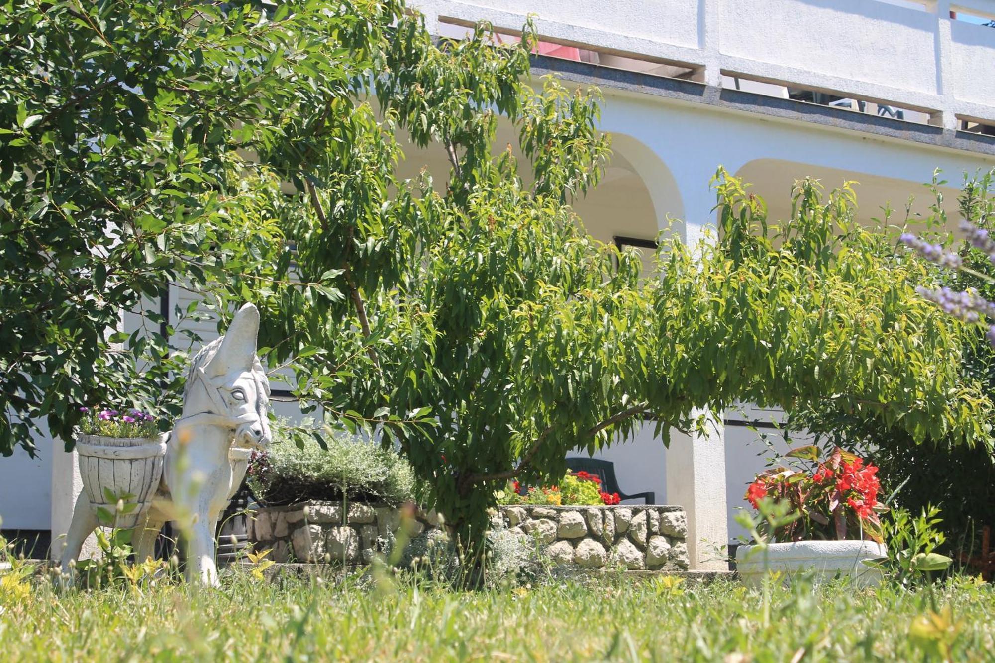 Apartments 501 - Rab Island Oasis Retreat Supetarska Draga Bagian luar foto