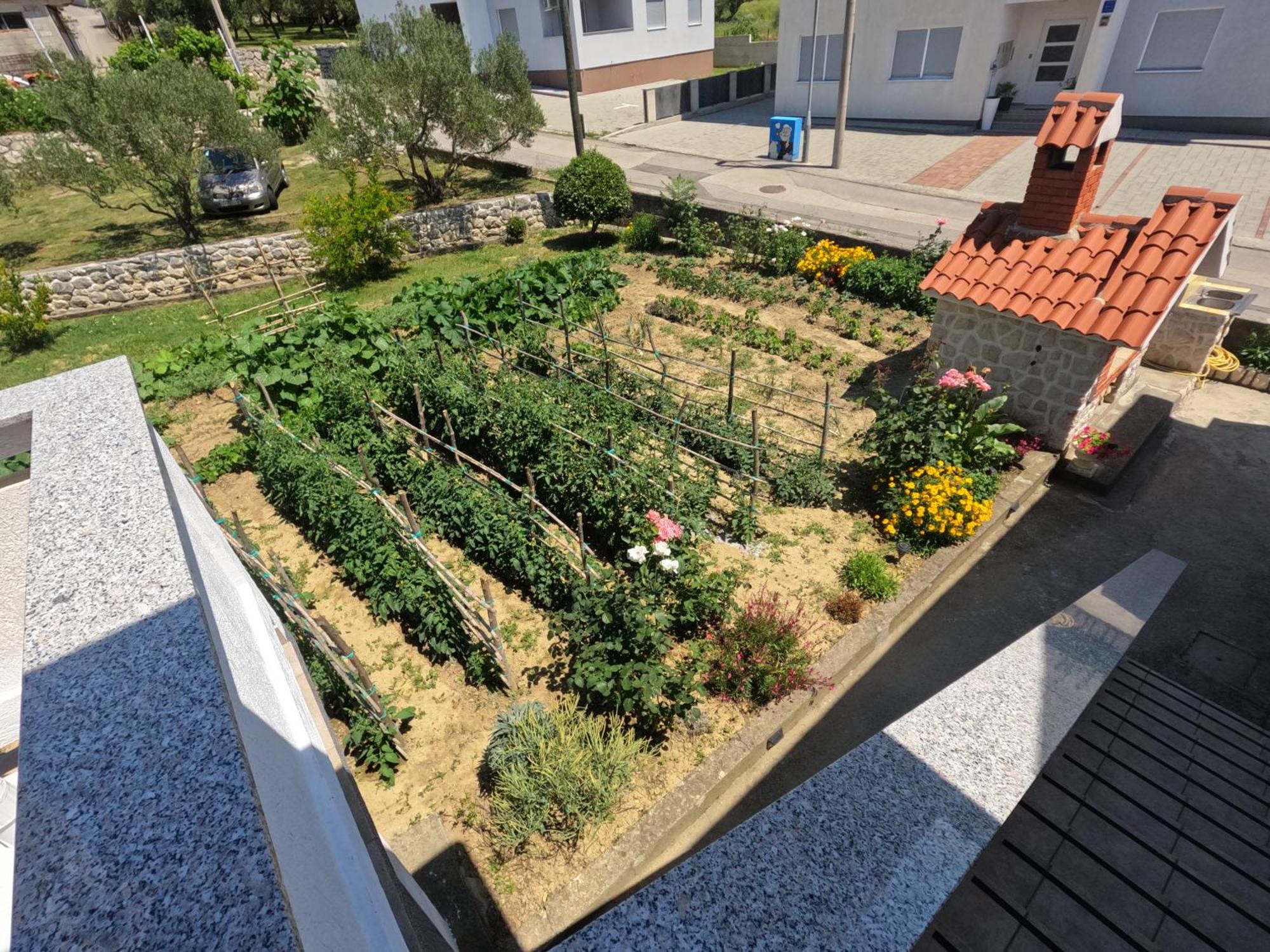Apartments 501 - Rab Island Oasis Retreat Supetarska Draga Bagian luar foto